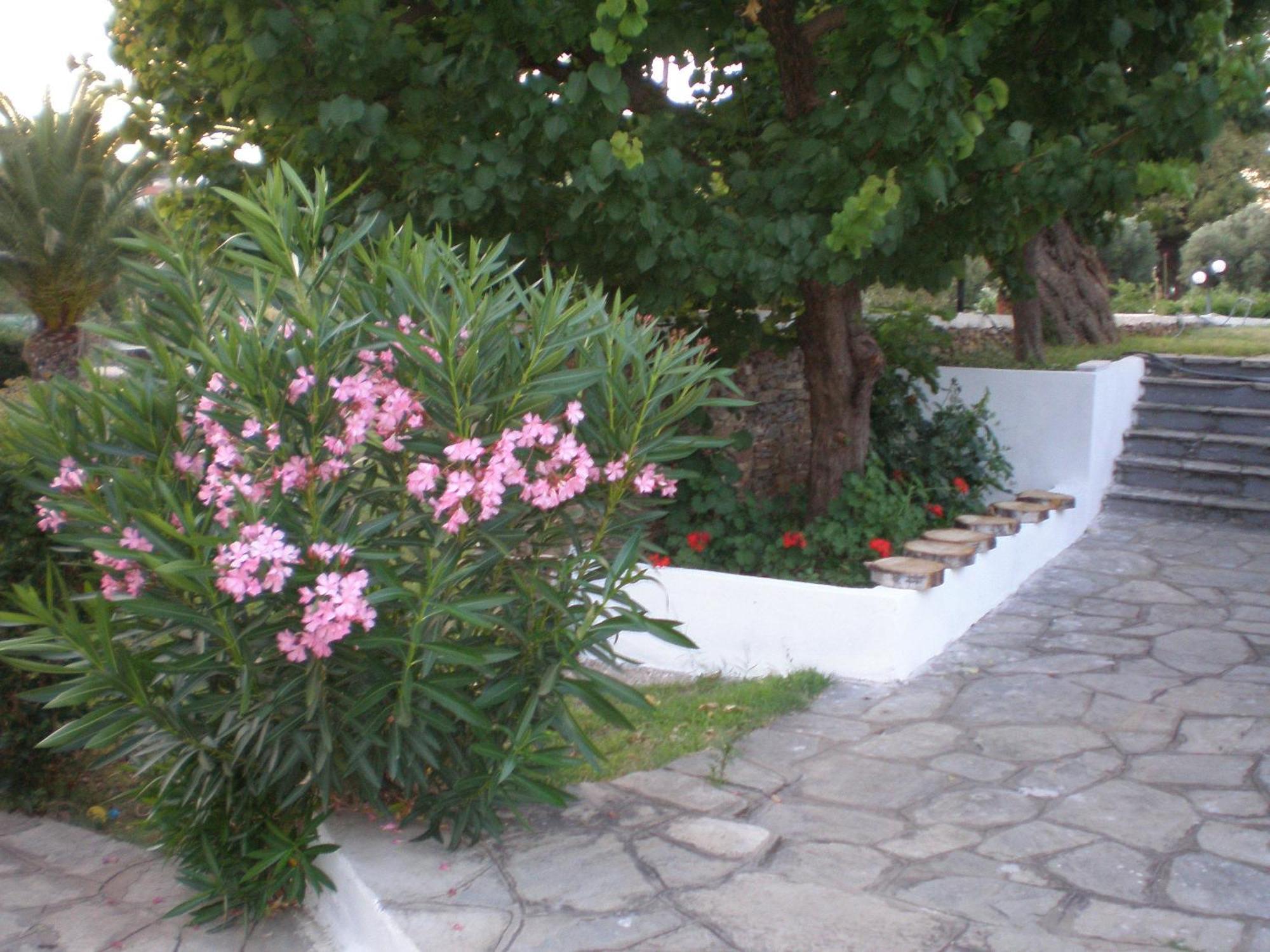 Hotel Porto Matina Metamorfosi  Exterior foto